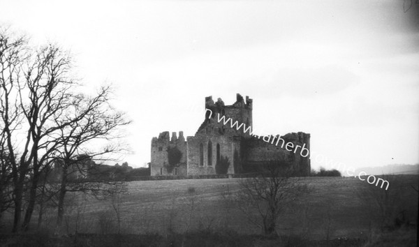 DUNBRODY ABBEY FROM N.E.(RAILWAY)